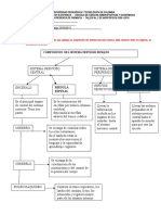 TALLER No. 2 MORFOFISIOLOGIA