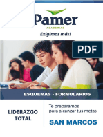 FORMULARIO PAMER.pdf