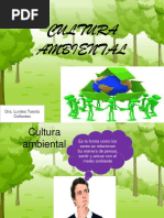Cultura Ambiental