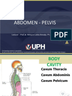 Abdomen - Pelvis: Lecturer: Prof. Dr. Wahyuni Lukita Atmodjo, PH.D