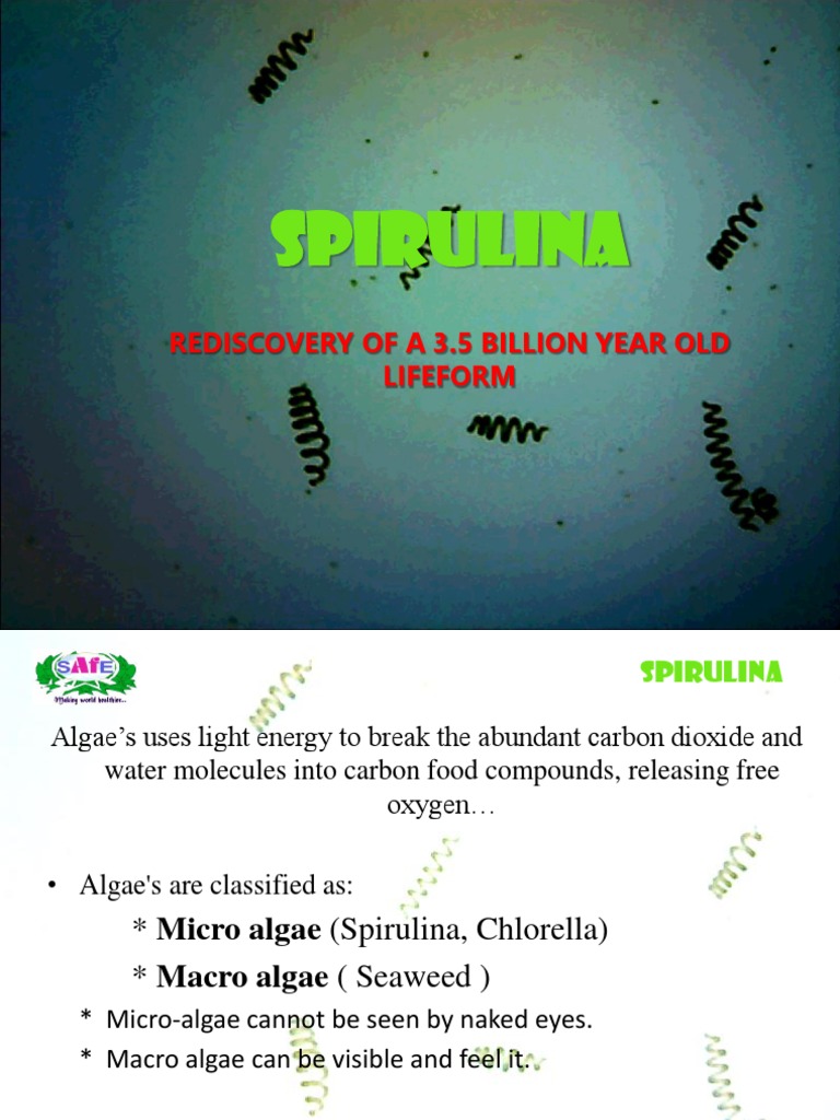 Spirulina Cultivation General Information PDF Magnesium Algae