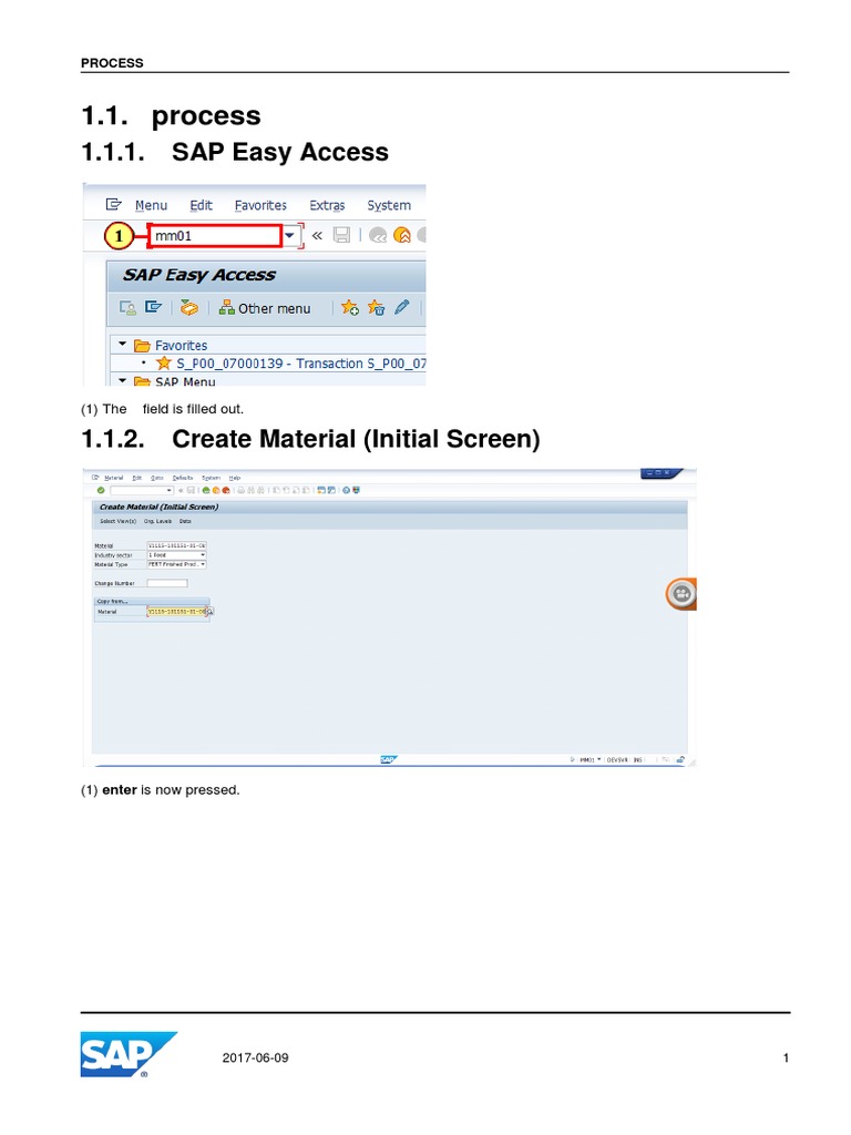 1.1. Process: 1.1.1. SAP Easy Access | PDF