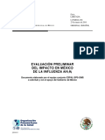 2010-011_Influenza-L958w.pdf