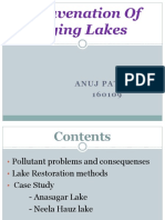 Rejuvenation Of Dying Lakes.pptx