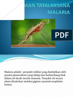 Pedoman Tatalaksana Malaria