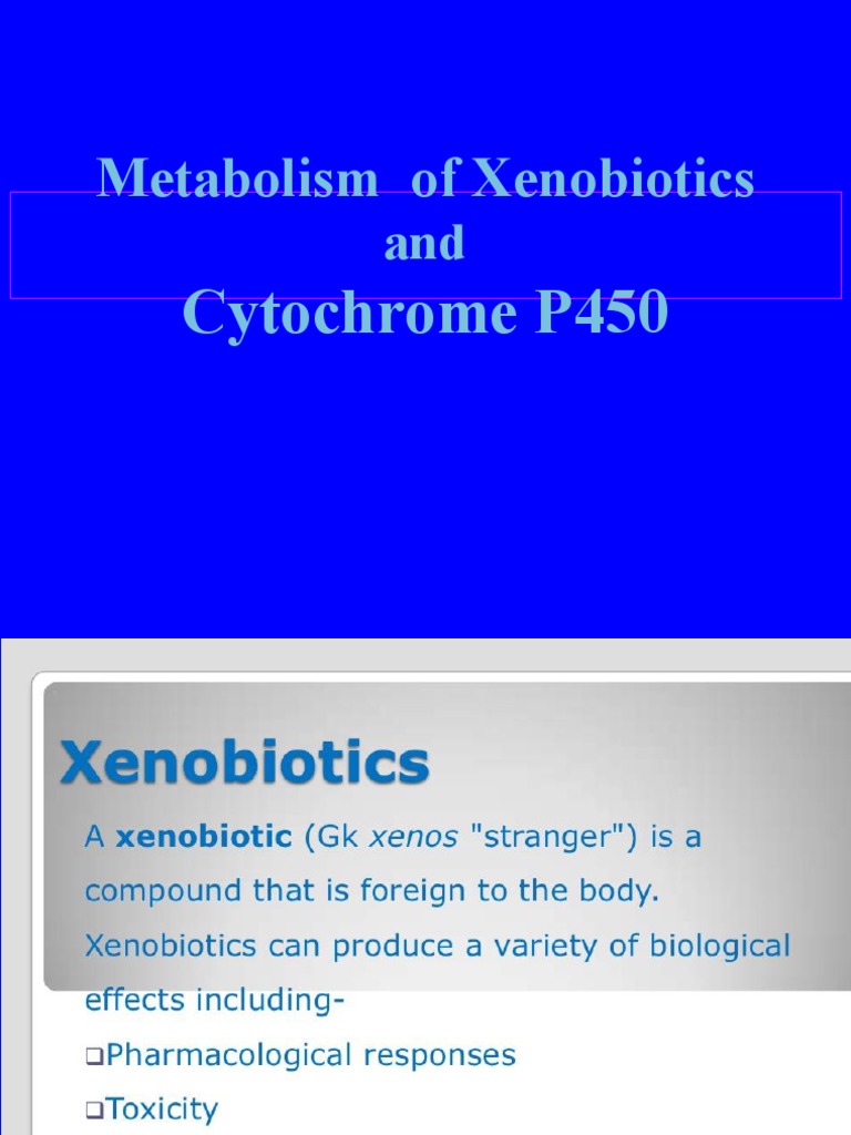 Cytochrome P450 and Xenobiotic Metabolism | PDF | Cytochrome P450 ...