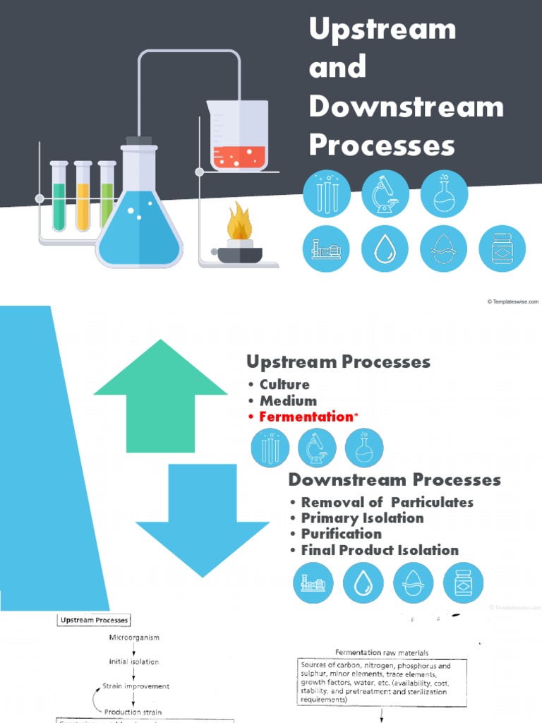 Upstream and Downstream Processes | PDF | Protein Purification ...