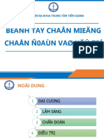 4.benh Tay Chan Mieng