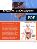Digestion and Absorption