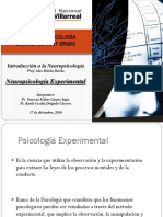 Neuropsicologia Experimental