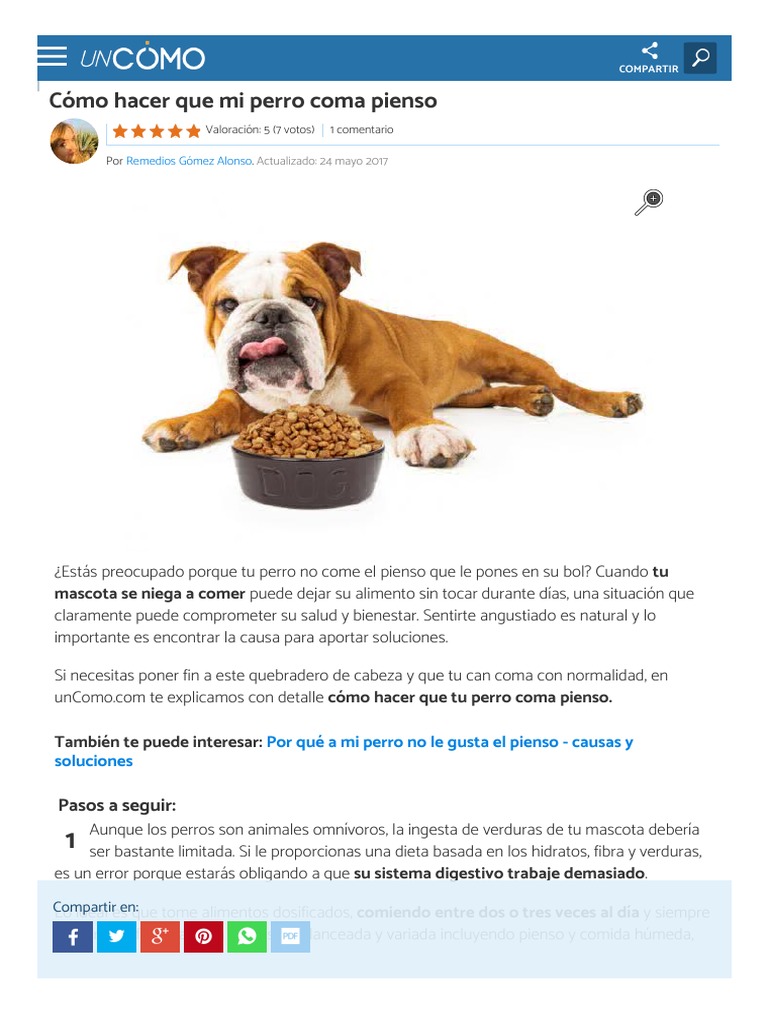 Cómo Hacer Que Mi Perro Coma Pienso 6 Pasos PDF La alimentación