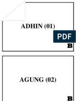 Adhin (01) B