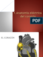 1. Anatomía Eléctrica Del Corazón