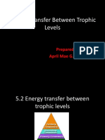 5.2 Energy Transfer Between Trophic Levels