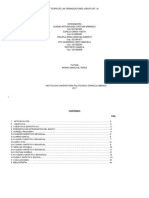 Proyecto Teoría de Las Organizaciones