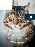 Guide to Cat Behavior Counseling