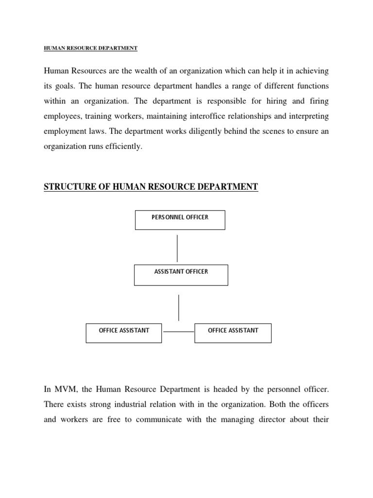 Human Resource Department Overview | PDF | Recruitment | Employment