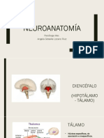 Diencefalo - Tálamo - Hipotálamo PDF