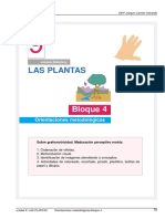 Bloque4-9 Las Plantas PDF