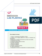 Bloque2-9 Las Plantas PDF