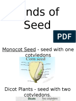 Kinds of Plants and Seeds