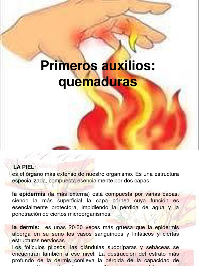 Primeros auxilios para quemaduras: clasificación, causas, tratamiento y ...