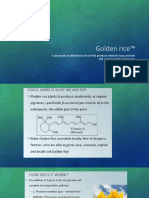 Golden rice™: A genetically modified form of rice that produces relatively large amounts of β carotene in the endosperm