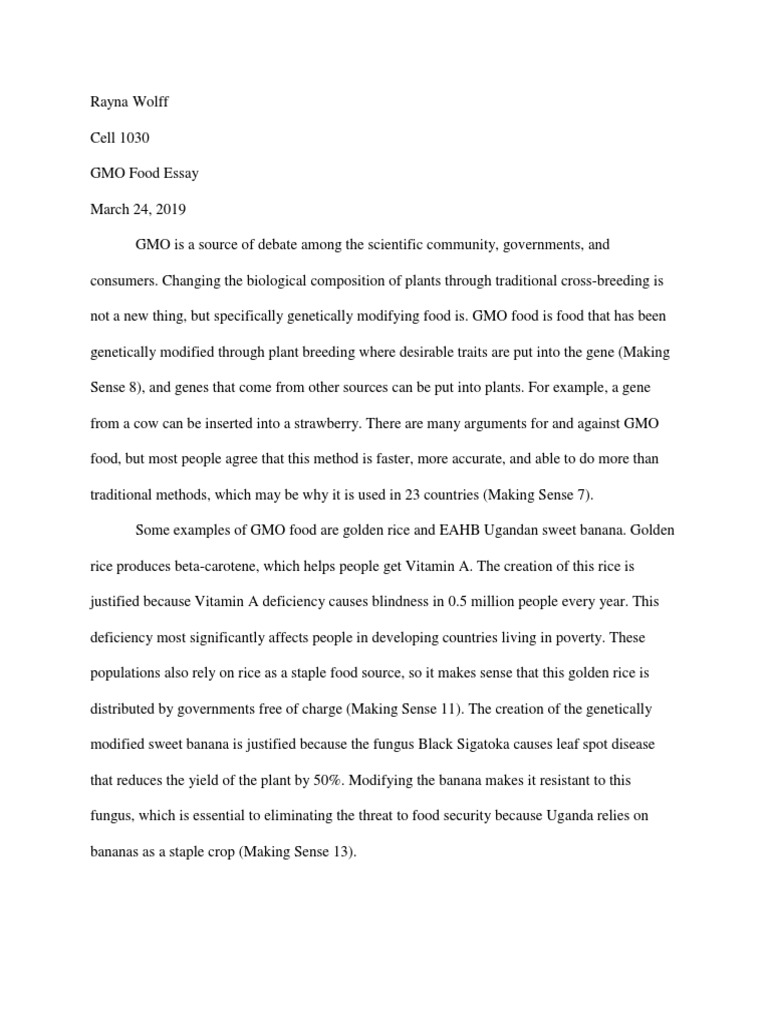 essay about gmo food