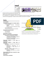 Neurociencia