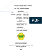 Laporan Praktikum Anfisman Darah 1 PDF