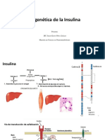 Insulina_epigenética