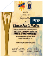 Certificate for Ssg in Tagumpay Ldp