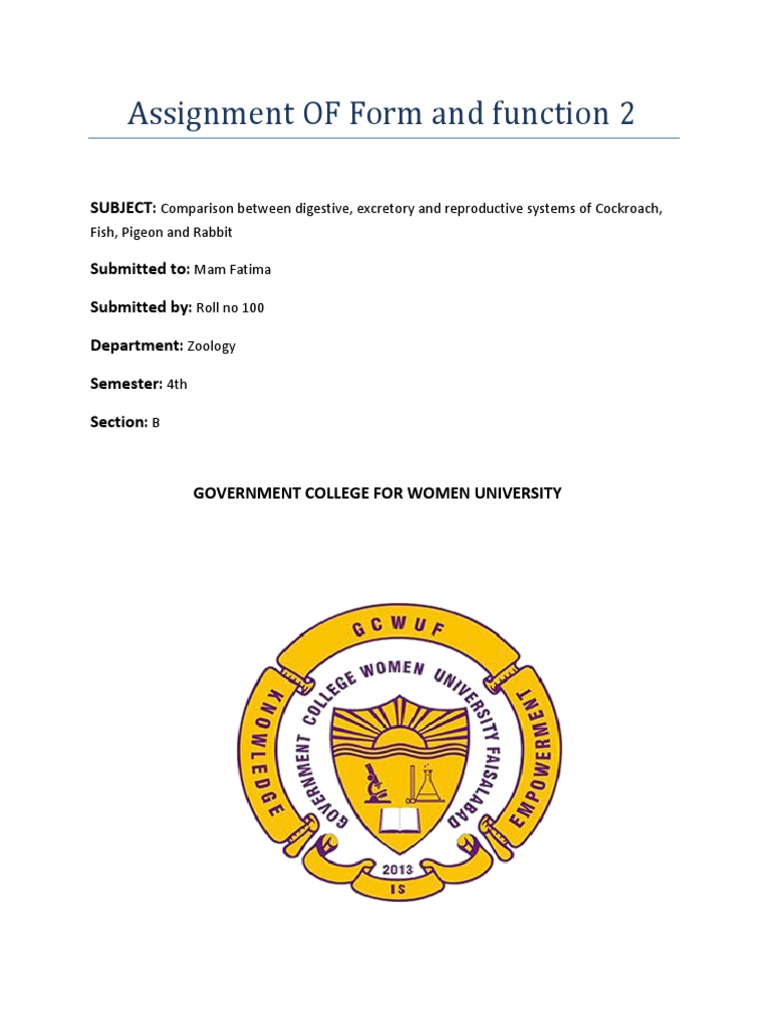 Assignment OF Form and Function 2 | PDF