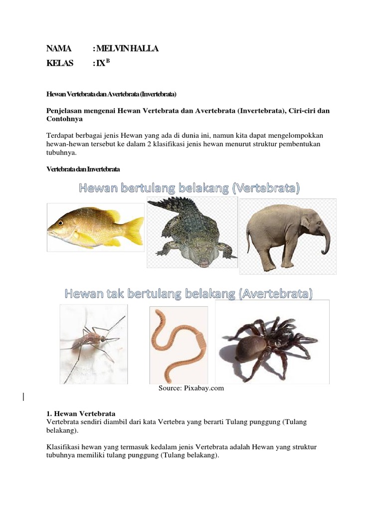 Hewan Vertebrata Dan Avertebrata Pdf