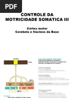 14 _controle_motricidade_voluntaria