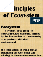 Principles of Ecosystem