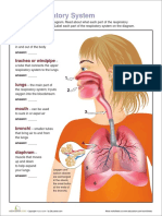 Your Respiratory System: Directions