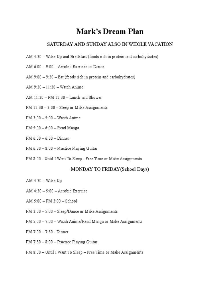 Mark's Daily Routine and Dream Plan | PDF