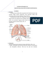 LP Bronchopneumonia