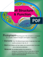 Cell Structure Function