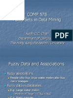 COMP 578 Fuzzy Sets in Data Mining: Keith C.C. Chan Department of Computing The Hong Kong Polytechnic University
