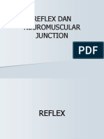 reflex dan neuromuscular junction.ppt