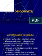 Prof. Dr. Mocanu_Curs 6 Cancerogeneza