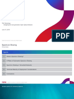 Spectrum Sharing: Options For Accessing Capacity