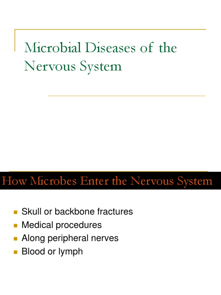 Microbial Diseases Affecting the Nervous System | PDF | Meningitis ...