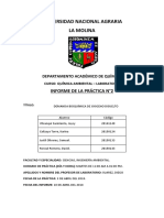 informe 2. DBO.docx