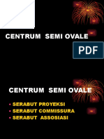 Centrum Semi Ovale