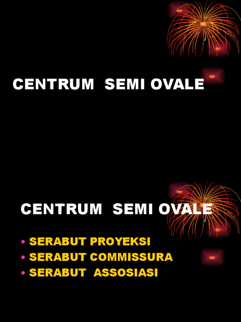 Struktur dan Fungsi Centrum Semi Ovale | PDF | Sains & Matematika
