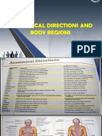 Anatomical-Directions-and-Body-Regions-2.pptx