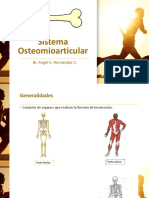 Sistema Osteomioarticular
